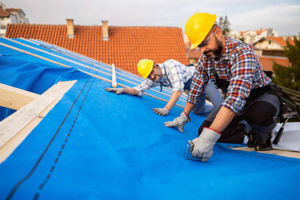 Best Sealant for Roof  in Mendenhall, MS